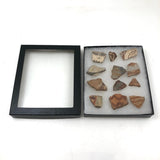 Collection of Early Pottery Shards, Presumed Anasazi