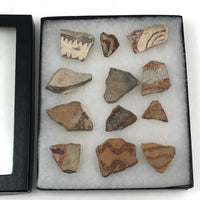 Collection of Early Pottery Shards, Presumed Anasazi