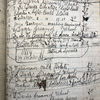 1879-1935 Painstaking Handwritten Ledger of Expenses, Chock Full